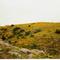 Limestone Hills in the Spring