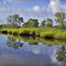 Combahee River, Ace Basin, SC