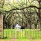 Prospect Hill Plantation