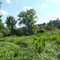 Penny Creek scenery