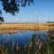Marsh View Of the ACE Basin