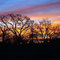 This picture was taken one cool November morning looking east at the Deep Cedar Creek east of Tuttle, Oklahoma (US).