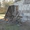 Abandoned House
