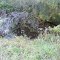 Doodle Hill Dr.