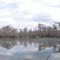 Waccamaw Backwater