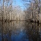Mallard Lake Upstream