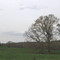 Pasture near the Enoree River