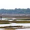2012, Hollywood,  SC - on the river