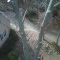 D & T Tree Service