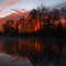 Almost Dawn