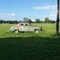1950 Mercury 4 door rusts away