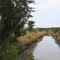 Old Rice Canal at Caw Caw Swamp, South Carolina