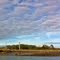 Toogoodoo River Pelican