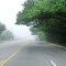 2012, Ravenel, SC - Rte 17