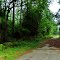 2012, Hollywood, SC - Rte 17