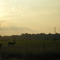 Sand Creek Farm