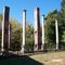 Tanglewood Mansion Ruins
