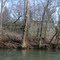 The Old Easley Bridge
