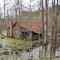 An Old House sitting in a Swamp (?)  Lake City, SC
