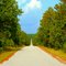 Wildlife Drive