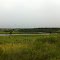 Carolina Sandhills National Wildlife Preserve