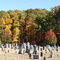 Padgett Creek Baptist Church Cemetery, Cross Keys, SC