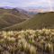 Spring Basin Pot O Gold by Jim Davis
