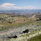 Washington Family Ranch (formerly Rajneeshpuram)