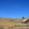 Barn..