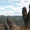 Photo by Steve Vidito: Upland Photomonitoring at Pine Creek Conservation Area
