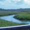 View from Crabbing Dock - Fripp Island