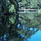 Ocean Creek Golf Course Pond - Fripp Island