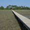 Hunting Island Marsh Boardwalk