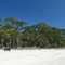 Pelicans flying north over Hunting Island Beach, SC