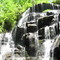 Falls of the Yellow Branch (~50')