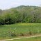 In these valleys were the ancient Cherokee Towns of Echy, Tocorichee, and Toxaway.