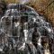 Yellowbranch falls