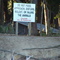 Monkeys on Morgan Island!