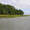 Morgan (Monkey) Island