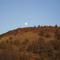 Moon over butte