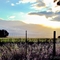 Dreammaker Ranch