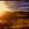 A True Sunburst