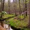 Creek at Forty Acre Rock
