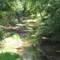 Long Cane Creek
