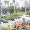 Greenwood Nursery