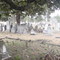 Long Cane Cemetery