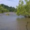 Shoals on the Reedy River