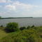 Atop the Fort Watson Indian Mound