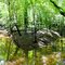 Edwards Creek (hurricane branch)