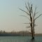 Dargans Pond